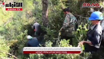 حرائق واسعة تلتهم الأراضي الزراعية والأحراج في حمص واللاذقية وطرطوس