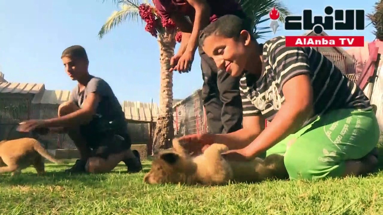 إعادة فتح حديقة حيوانات فقيرة في رفح بعد أشهر على إغلاقها