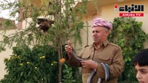 بالفيديو عراقي يحول بيته إلى موطن للأفاعي