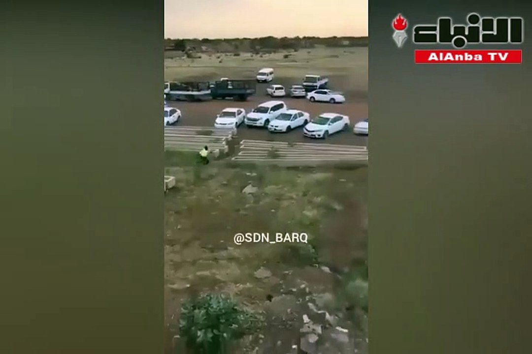 حكم