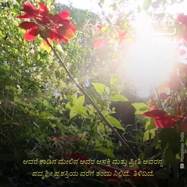 Tulsi Gowda: The Encyclopedia of Forests