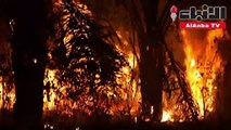 الحرائق تواصل التهام الأمازون في ظل القمة الأممية حول المناخ