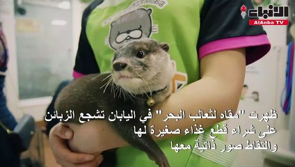 وسائل التواصل الاجتماعي تفاقم الخطر على الحيوانات المهددة بالانقراض
