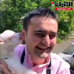 لماذا هاجم "نيشان" و"أصالة" الشيف التركي بوراك؟