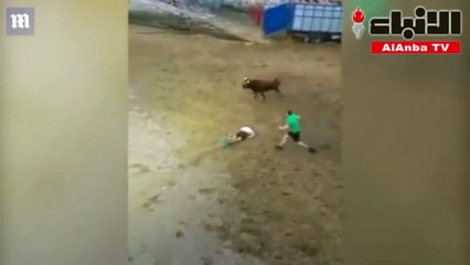 ترويض الحيوانات ينتهي بثور يجرُّ رجلاً بحبل