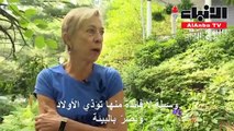 أميركيون يحولون حدائقهم إلى أدغال حضرية