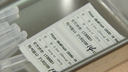 나머지 백신 도입 시기와 접종 대상은? / YTN