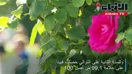 فيينا مجددا أفضل مدن العالم لجودة العيش