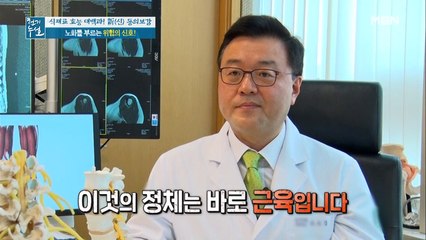 근육 감소가 혈관 건강과 관련이 있다!?