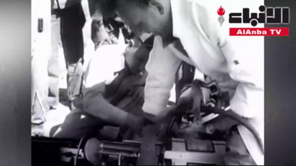 حيوانات مهدت طريق الإنسان لاستكشاف الفضاء