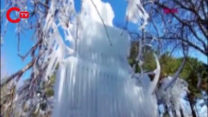 PROFESÖRÜN ÜZERİNE BUZ KÜTLESİ BÖYLE DÜŞTÜ