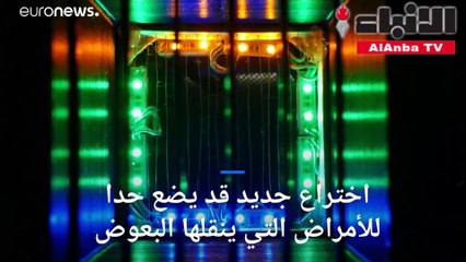 ابتكار جديد يخلص المنازل من أعتى أنواع البعوض فى العالم