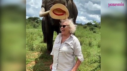 Fille fotoğraf çektirmek isteyen kadına bakın fil ne yapıyor!