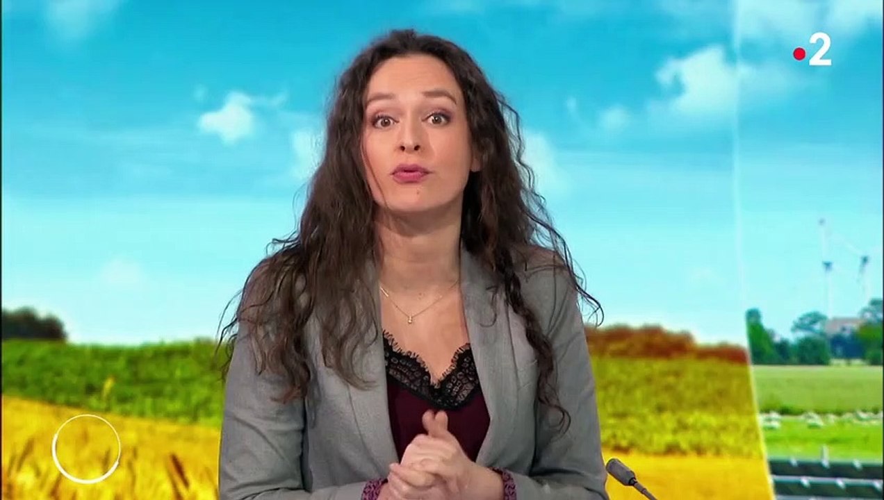 Environnement : près de Reims, des bergers développent l'éco-pâturage à l'aide de leurs moutons