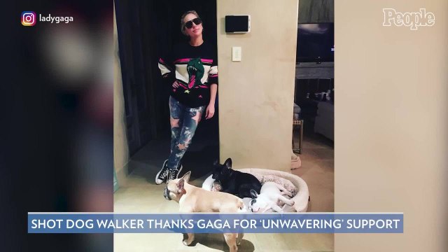 Dog Walker Ryan Fischer Opens Up About Violent Robbery, Tells Lady Gaga 'Your Babies Are Back'