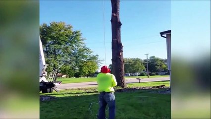 Ce bûcheron s'est littéralement envolé en coupant un arbre