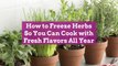 How to Freeze Herbs So You Can Cook with Fresh Flavors All Year