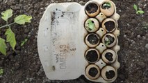 Start Seeds In Eggshells Now For An Easter Gift That Keeps On Giving
