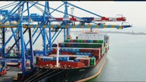مؤسسة الموانئ دشنت «المنصة الإلكترونية لإدارة الحاويات» في ميناء الشعيبة