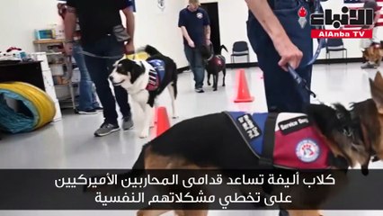 كلاب أليفة تساعد قدامى المحاربين الأميركيين على تخطي مشكلاتهم النفسية