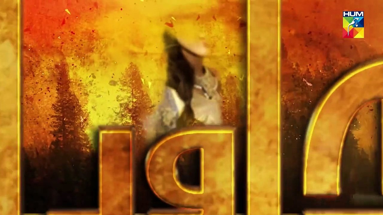 Alif Allah Aur Insaan Episode 40 HUM TV Drama