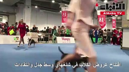 افتتاح عروض الكلاب في شنغهاي وسط جدل وانتقادات