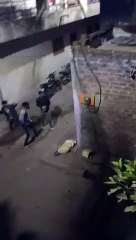 शहर के अम्बिकापुरी में दो पक्षों में हुआ विवाद, जमकर चले पत्थर, देखें वीडियो