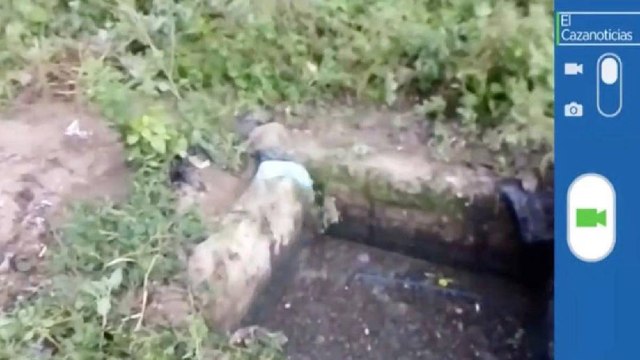 El Cazanoticias: plaga de zancudos en Villavieja, Huila