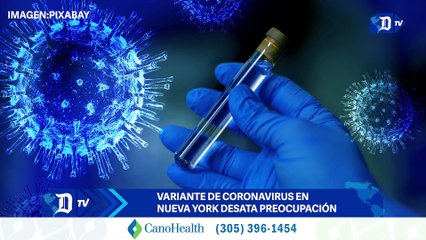 Variante de coronavirus en Nueva York desata preocupación | El Diario en 90 segundos