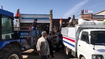 Gercüş'te çiftçilere fıstık ve badem fidanı dağıtıldı