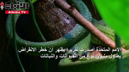 مليون من الكائنات الحية مهدد بالزوال فهل البشرية مهددة أيضا؟