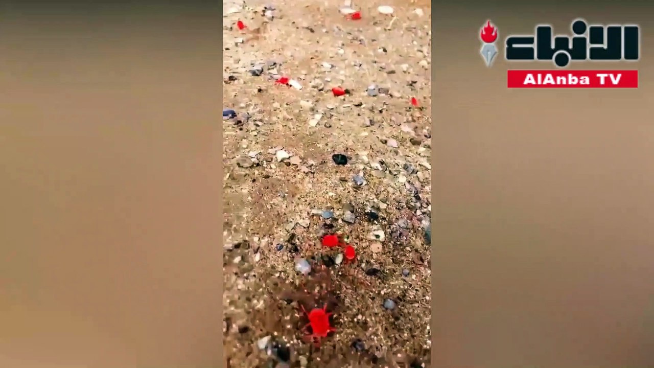 بنت المطرفي العين الخضراء في الإمارات