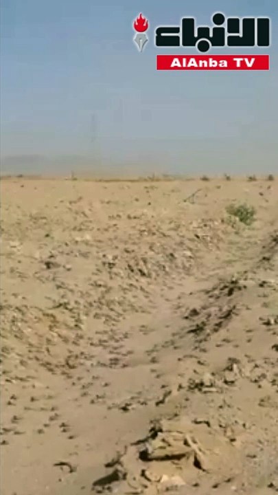 جراد