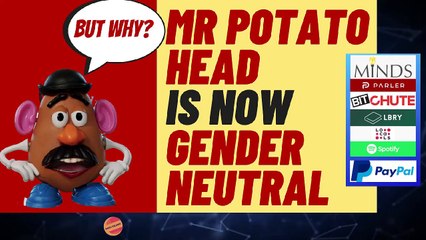 MR POTATO HEAD IS NOW GENDER NEUTRAL?  NEW ANIMATION AND RANT!