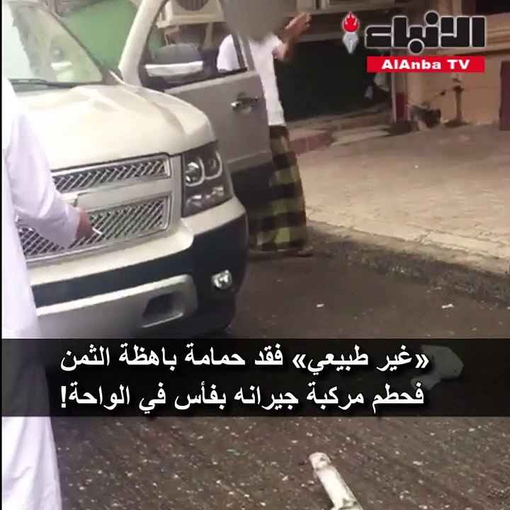 «غير طبيعي» فقد حمامة باهظة الثمن فحطم مركبة جي...