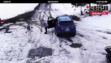 كلبة تنقذ أخرى من الموت بتدخل خاطف