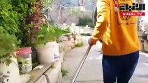 فلسطينية تحول حديقة منزلها إلى ملجأ حقيقي للحيوانات الضالة