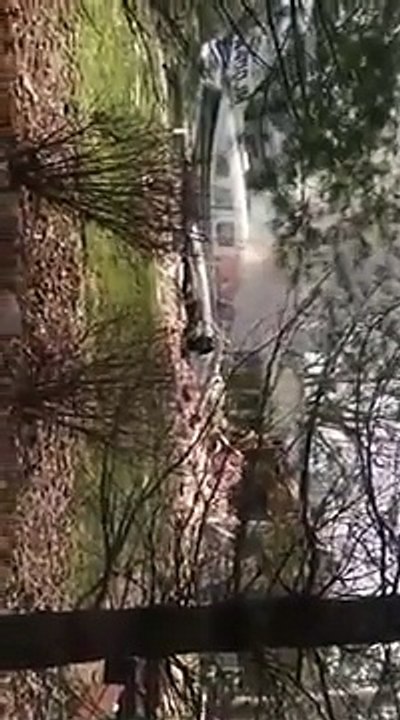 Plane crashed into my neighbor’s backyard