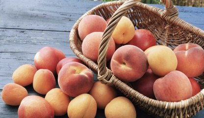 The Difference Between a Peach and an Apricot