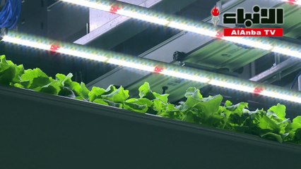 في نيويورك مزارع عمودية تعتمد التكنولوجيا المتطورة