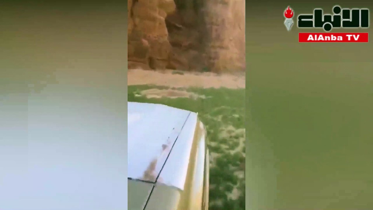 غزال
