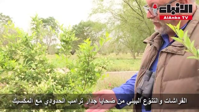 الفراشات والتنوع البيئي من ضحايا جدار ترامب الحدودي مع المكسيك