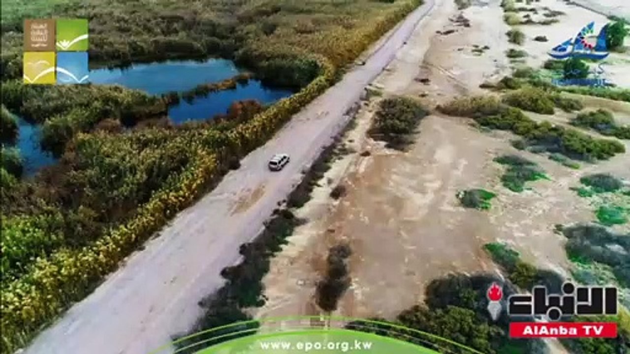 عبدالله الأحمد يطلع عددا من الخبراء على جهود ال...