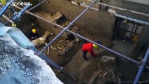 شاهد العثور على جثة حصان عمرها حوالي 2000 سنة في بومبي الإيطالية…