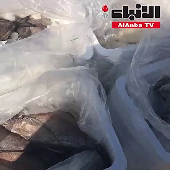 الهيئة العامة للغذاء والتغذية تضبط 11 الف كغم أسماك فاسدة قادمة من إيران