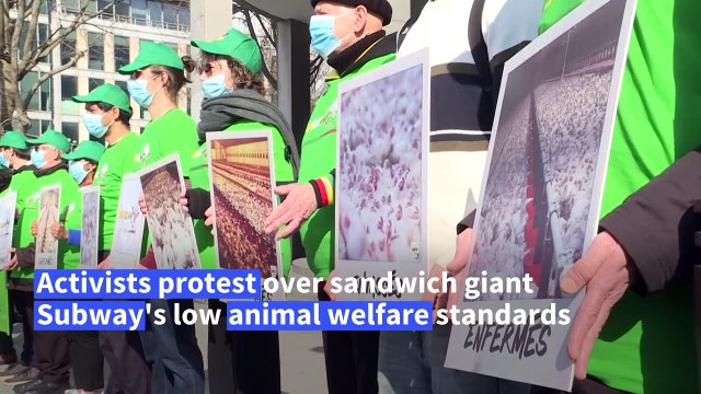 Activists protest at Subway HQ in Paris to denounce animal 'cruelty'