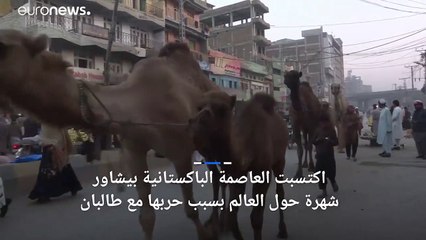 شاهد عاصمة اللحم المشوي التقليديالكبابفي باكستان