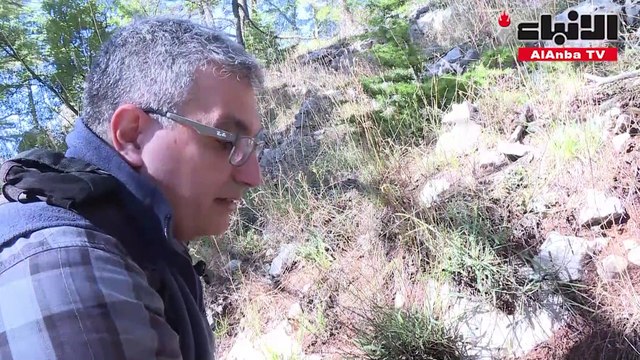 التغير المناخي يطارد أرز لبنان