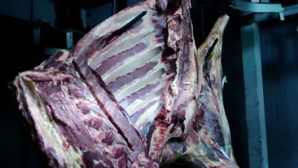 Dementer Movie Clip - Cow Heart