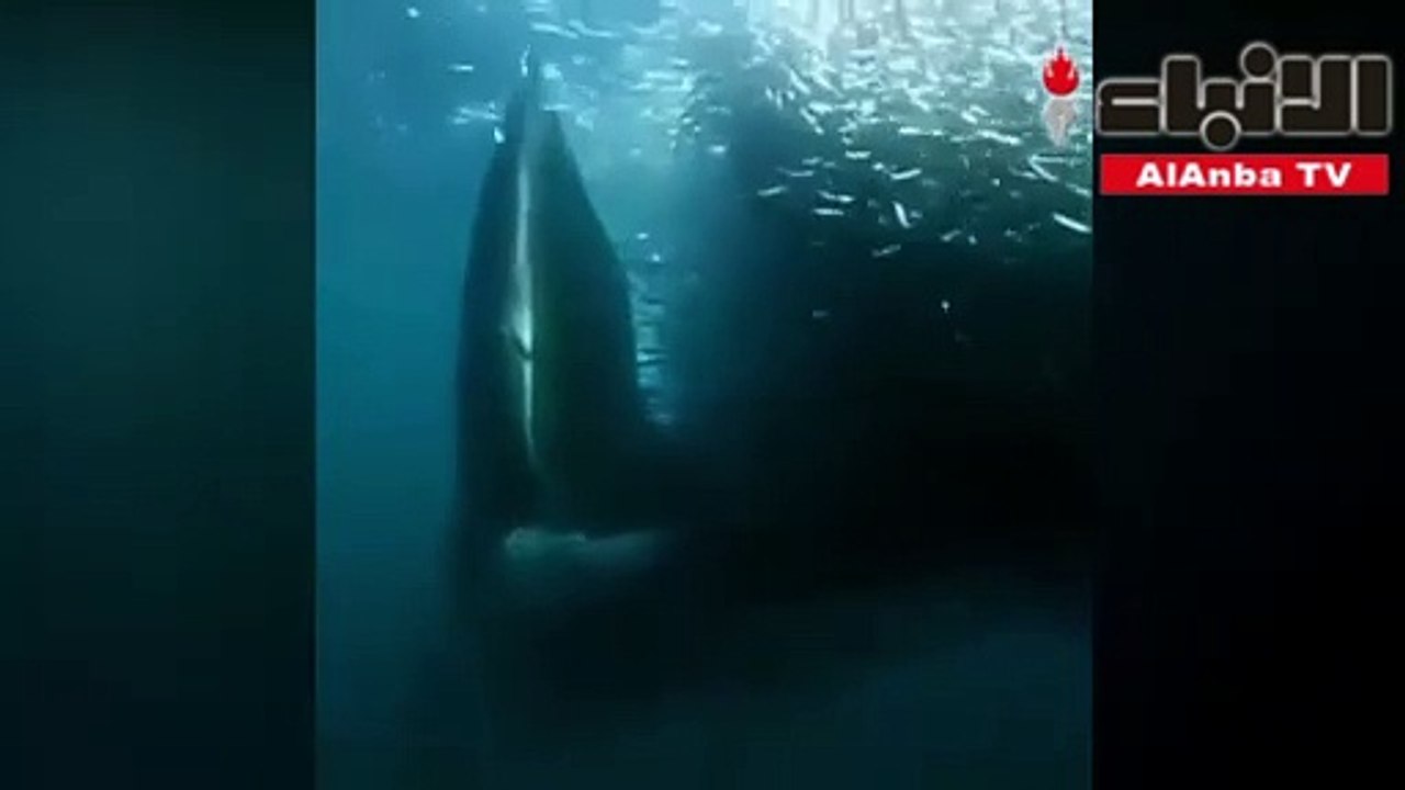 9.0